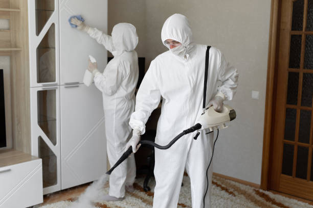 Best Industrial Mold Remediation in West Crossett, AR