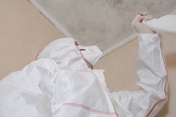 Best Bathroom Mold Remediation in West Crossett, AR