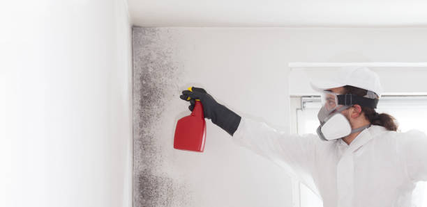 West Crossett, AR Mold Remediation Company